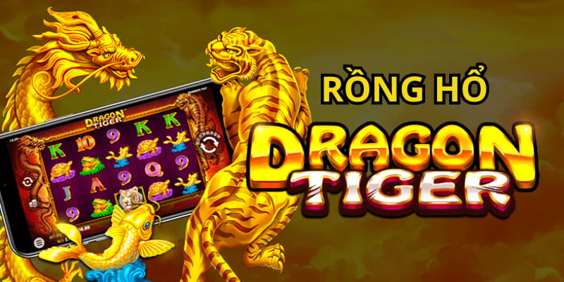 Cách Chơi Rồng Hổ - Hướng Dẫn Cá Cược Casino Chuẩn Nhất 2025 Bạn cần nắm rõ các cửa cược trong game Dragon Tiger