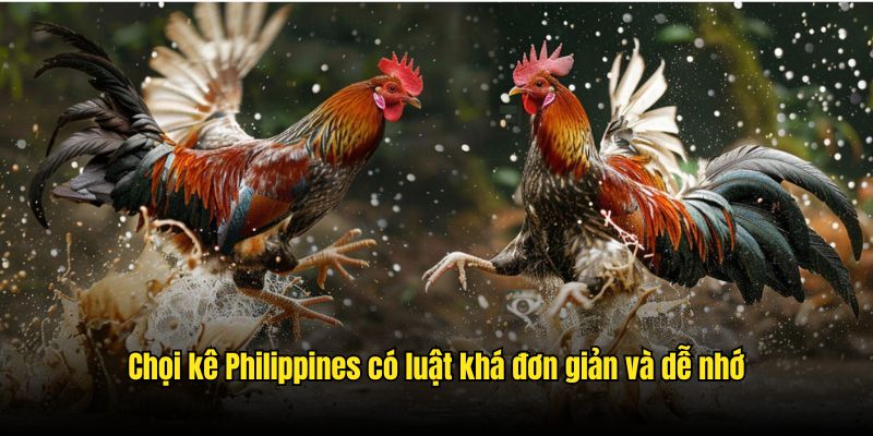 Đá Gà Philippines - Những Trận Chiến Gay Cấn Nhất Tại BJ88 Chọi kê Philippines có luật khá đơn giản và dễ nhớ