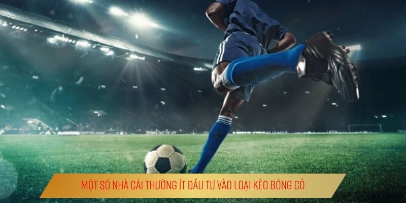 Kèo Bóng Cỏ Là Gì? | Lối Đi Riêng Của Dân Chơi Thông Thái Một số nhà cái thường ít đầu tư vào loại kèo bóng cỏ