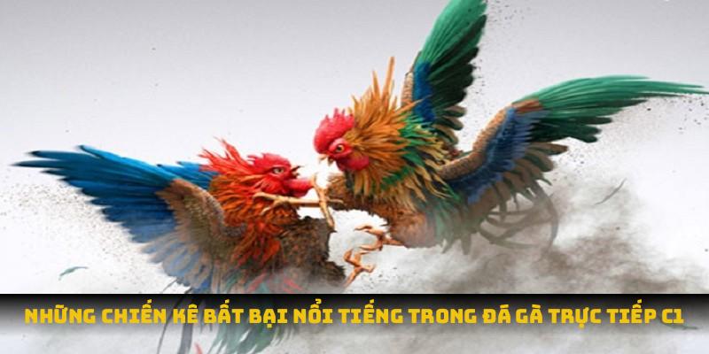 Đá Gà Trực Tiếp C1: Thăng Hoa Cảm Xúc Đỉnh Cao Cùng Chiến Kê Những chiến kê bất bại nổi tiếng trong đá gà trực tiếp C1